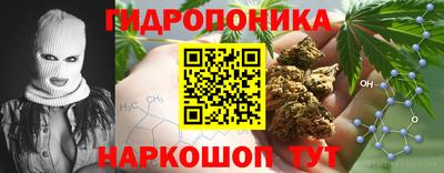 прущие крисы Пушкино