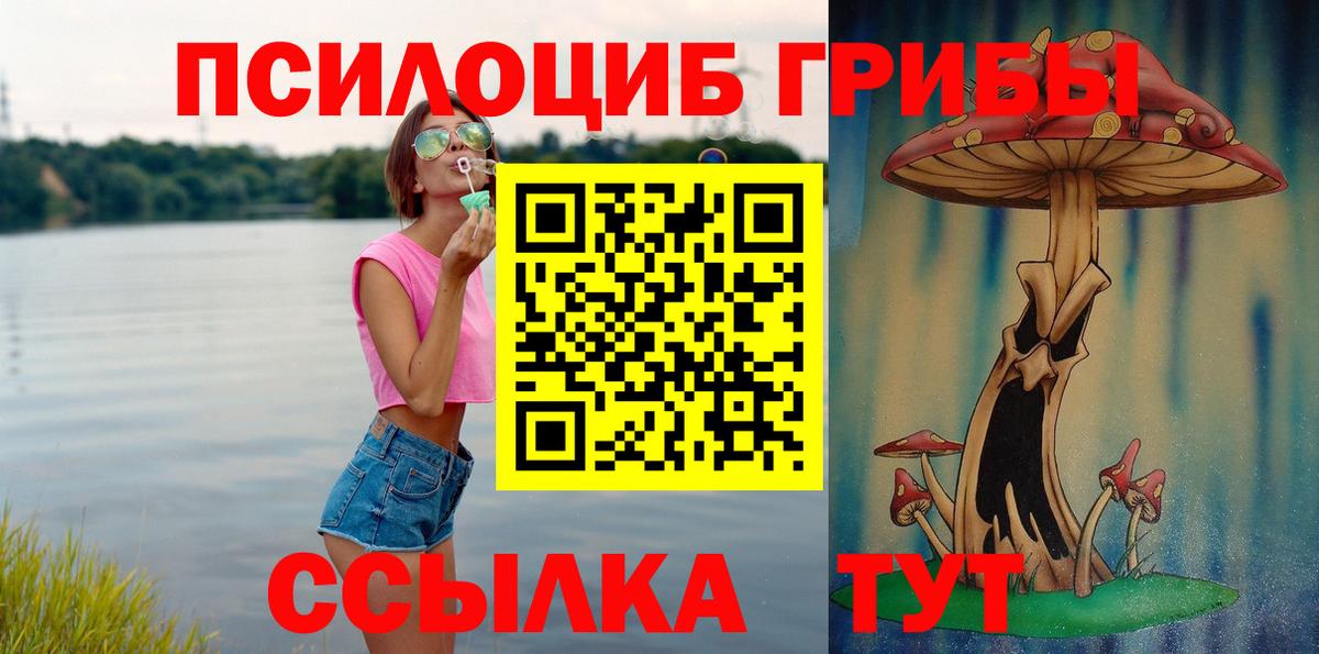 Псилоцибиновые грибы Psilocybe  Вход с VPN  Сосновый Бор 