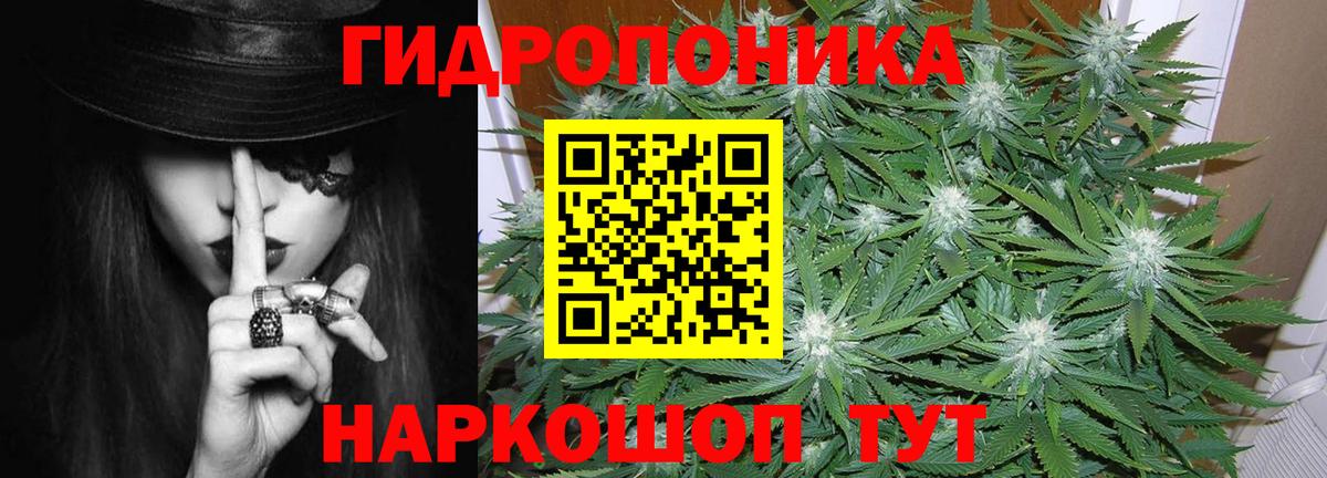 Конопля гибрид  Конопля Bruce Banner  Сосновый Бор  Вход с VPN 